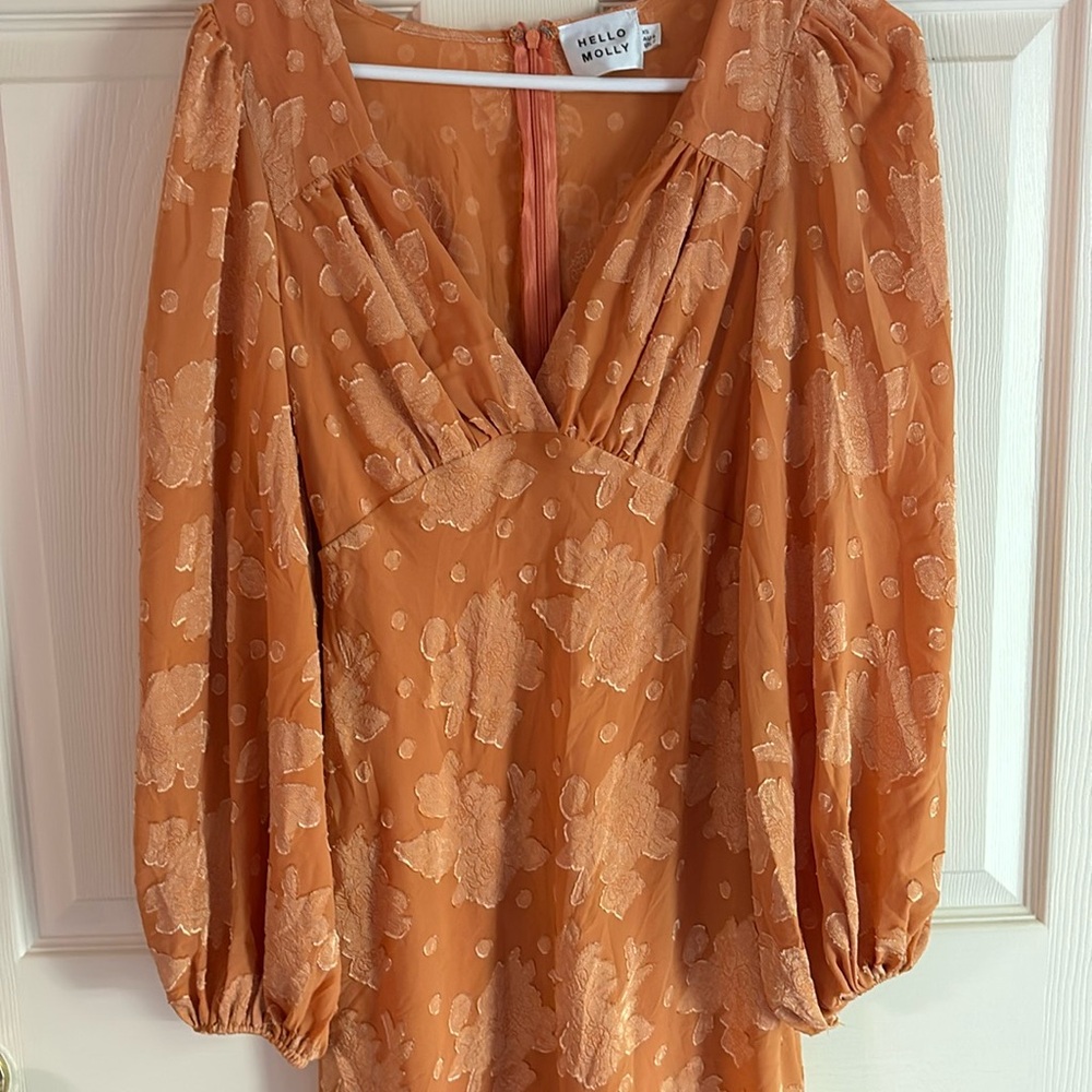 Hello Molly. Orange, long sleeve, worn once.